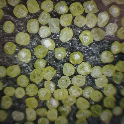 Diamant synthétique industriel poussière de microns de diamants en poudre avec politique de remboursement de 30 jours
