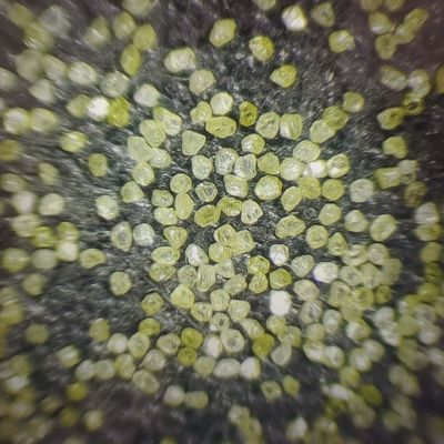 Poudre de meulage de diamants synthétiques pour le polissage de bijoux