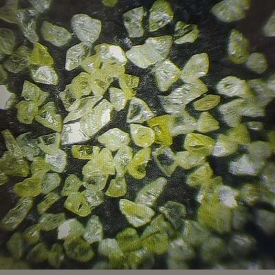 Classification du diamant artificiel Poudre de diamant synthétique pour la fabrication de segments de diamant