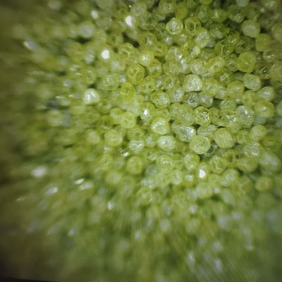 Rvd industriel poudre de diamant synthétique pour l'efficacité de la fabrication d'outils diamantés