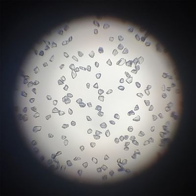 Poussière de diamant Xinrui Taux élevé de dissipation thermique et caractéristiques du diamant naturel